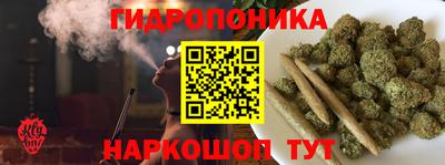 МДПВ Пушкино