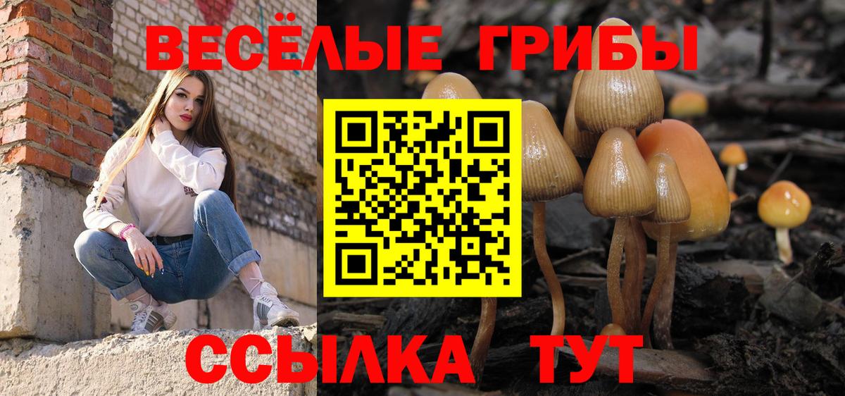 Галлюциногенные грибы Magic Shrooms Скопин
